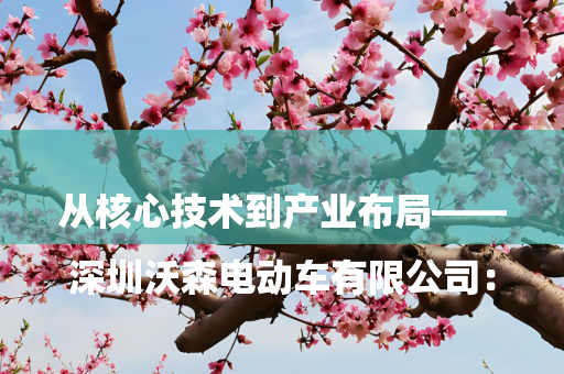 

深圳沃森电动车有限公司：从核心技术到产业布局——解码新能源交通领域领军企业