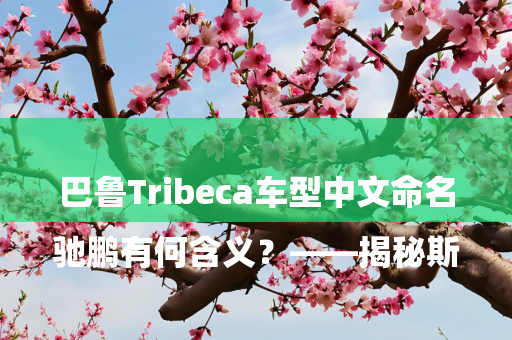 

驰鹏有何含义？——揭秘斯巴鲁Tribeca车型中文命名深意