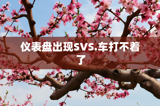 仪表盘出现SVS.车打不着了