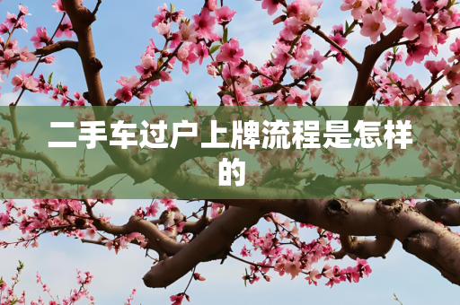 信息 第39页