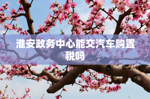 淮安政务中心能交汽车购置税吗
