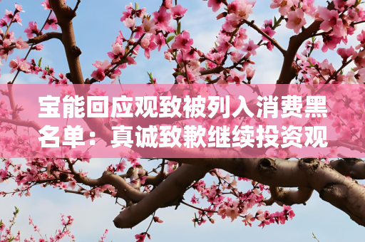 宝能回应观致被列入消费黑名单：真诚致歉继续投资观致汽车