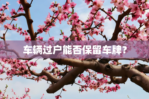 车辆过户能否保留车牌？