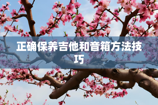 正确保养吉他和音箱方法技巧