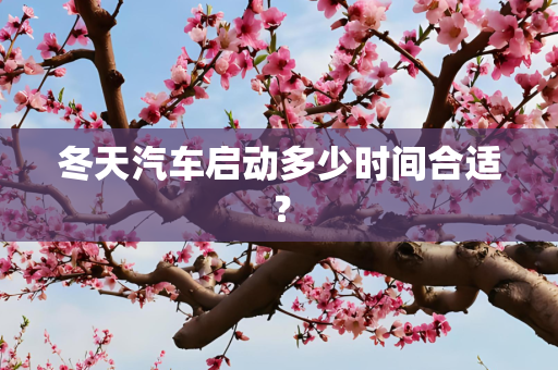 冬天汽车启动多少时间合适？