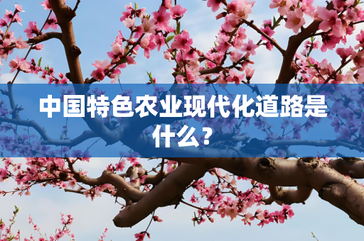 中国特色农业现代化道路是什么？