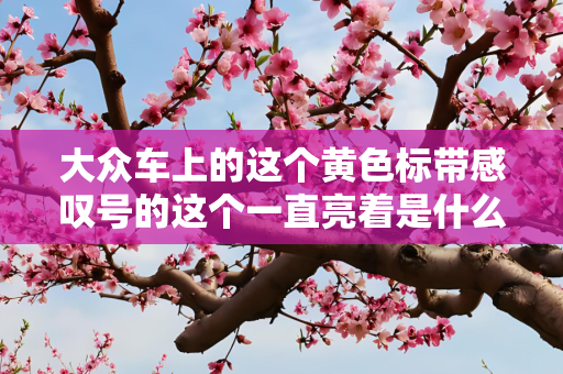 大众车上的这个黄色标带感叹号的这个一直亮着是什么意思？