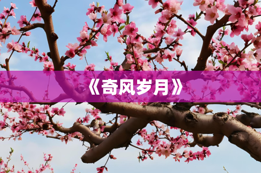 《奇风岁月》
