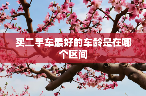 买二手车最好的车龄是在哪个区间