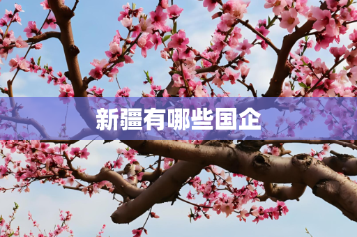 新疆有哪些国企