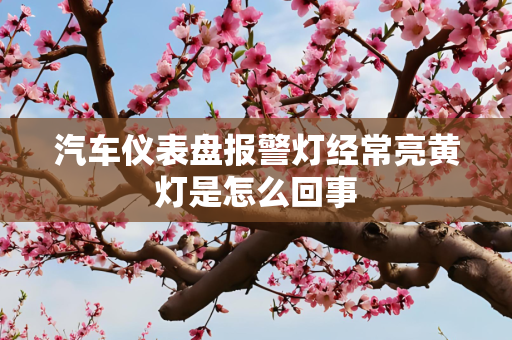 汽车仪表盘报警灯经常亮黄灯是怎么回事