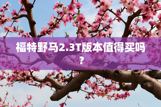 福特野马2.3T版本值得买吗？