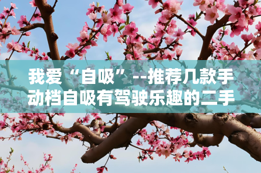 我爱“自吸”--推荐几款手动档自吸有驾驶乐趣的二手车