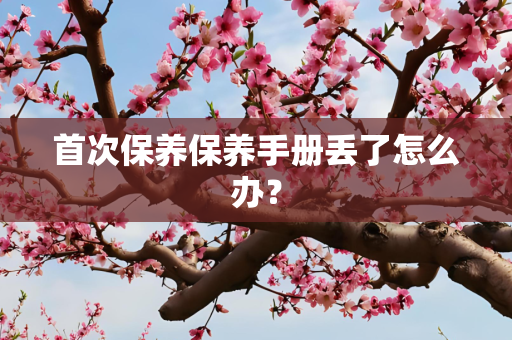 首次保养保养手册丢了怎么办？