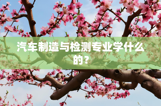 汽车制造与检测专业学什么的？