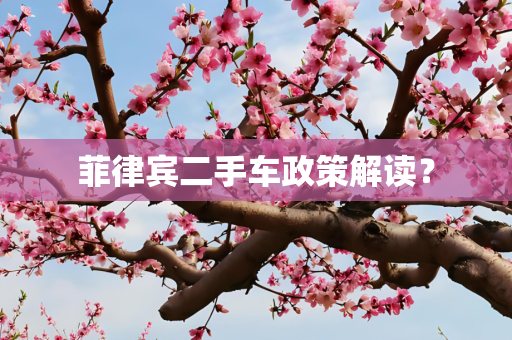 菲律宾二手车政策解读？