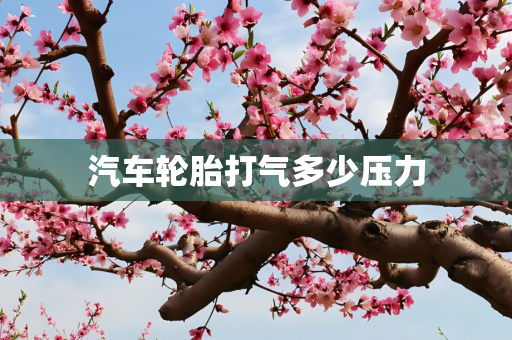 汽车轮胎打气多少压力