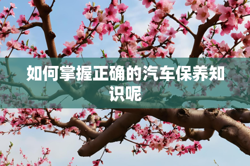 如何掌握正确的汽车保养知识呢