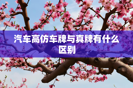 汽车高仿车牌与真牌有什么区别
