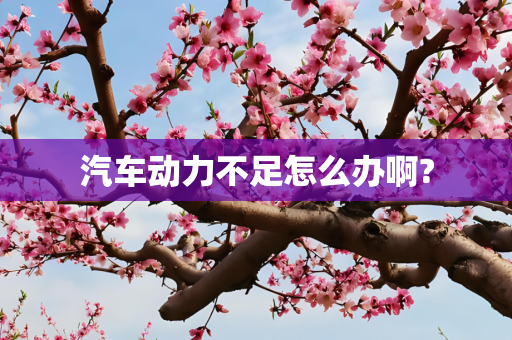 汽车动力不足怎么办啊?