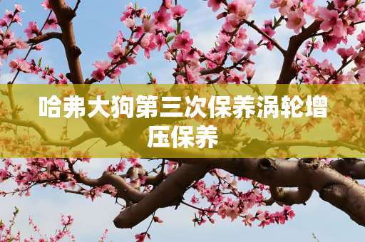 哈弗大狗第三次保养涡轮增压保养