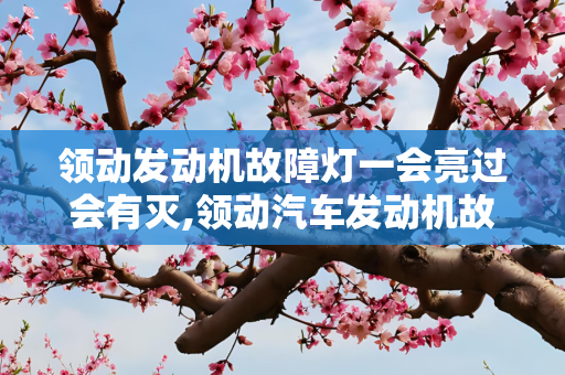 领动发动机故障灯一会亮过会有灭,领动汽车发动机故障灯亮了