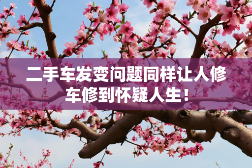 信息 第37页
