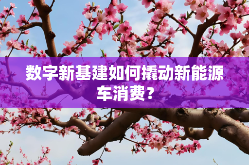 数字新基建如何撬动新能源车消费？