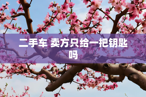 二手车 卖方只给一把钥匙吗