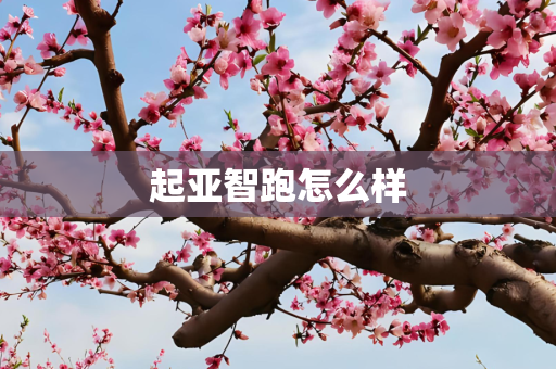 起亚智跑怎么样