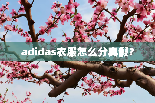 adidas衣服怎么分真假？