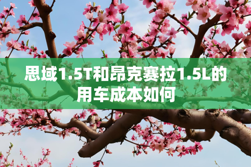 思域1.5T和昂克赛拉1.5L的用车成本如何