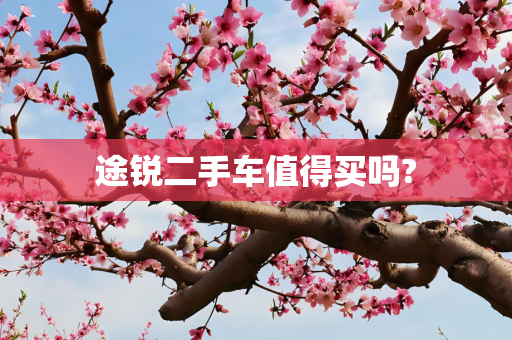 途锐二手车值得买吗?