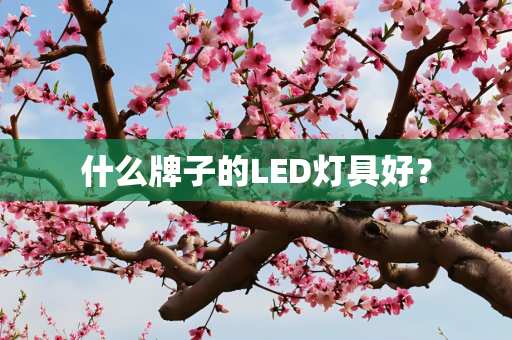 什么牌子的LED灯具好？