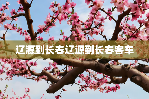 辽源到长春辽源到长春客车