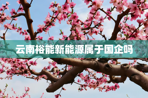 云南裕能新能源属于国企吗