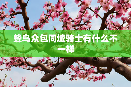 蜂鸟众包同城骑士有什么不一样