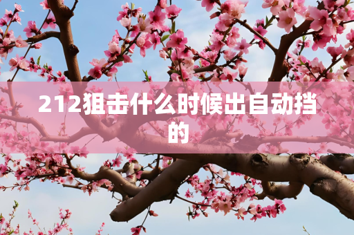 212狙击什么时候出自动挡的