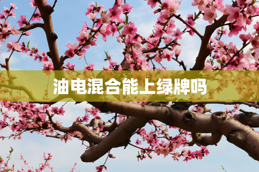 油电混合能上绿牌吗