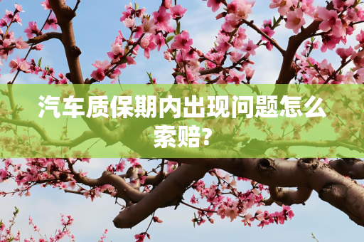 汽车质保期内出现问题怎么索赔?
