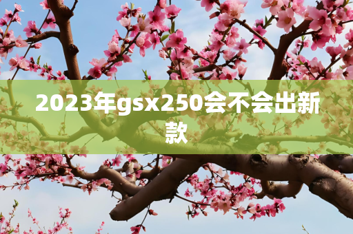 2023年gsx250会不会出新款