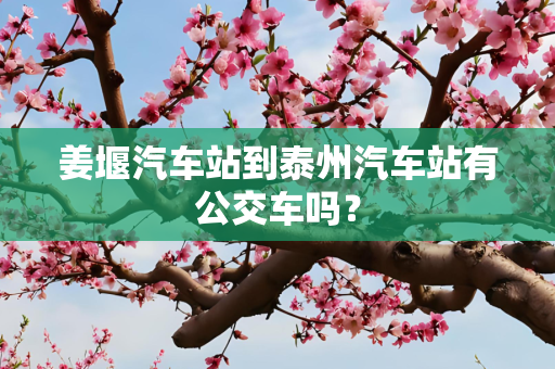 姜堰汽车站到泰州汽车站有公交车吗？