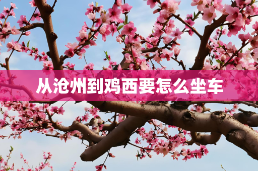 从沧州到鸡西要怎么坐车