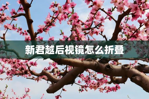 新君越后视镜怎么折叠