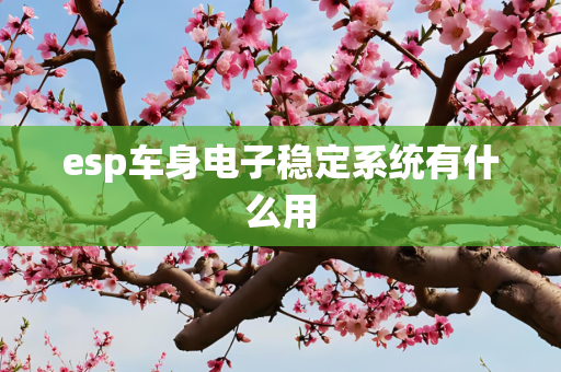 esp车身电子稳定系统有什么用