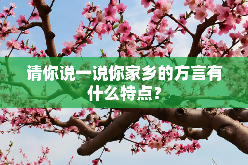 请你说一说你家乡的方言有什么特点？