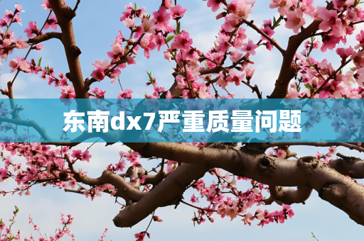 东南dx7严重质量问题