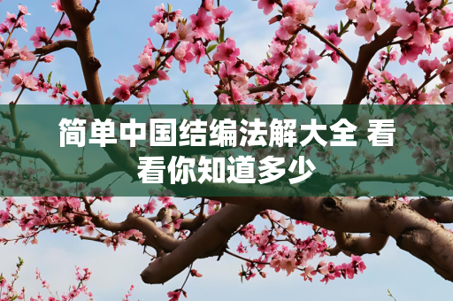 简单中国结编法解大全 看看你知道多少