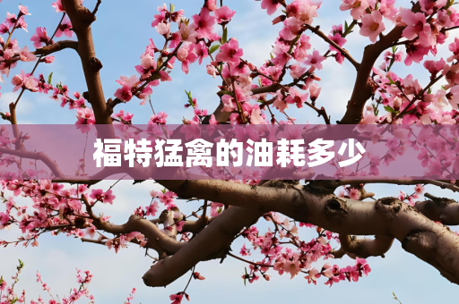 福特猛禽的油耗多少