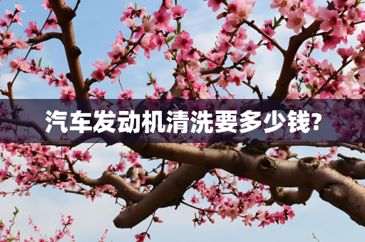 汽车发动机清洗要多少钱?